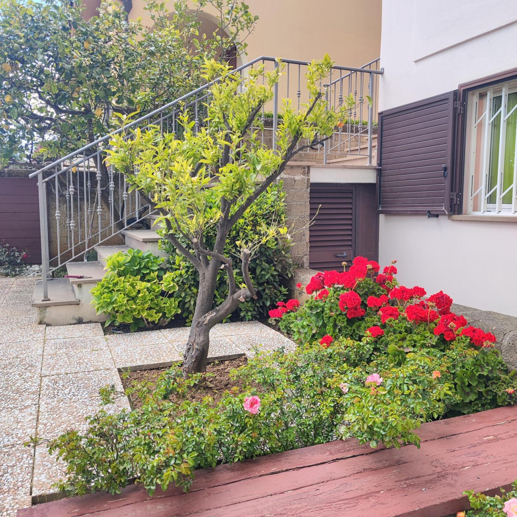 Appartamento Galgani San Vincenzo Exterior photo