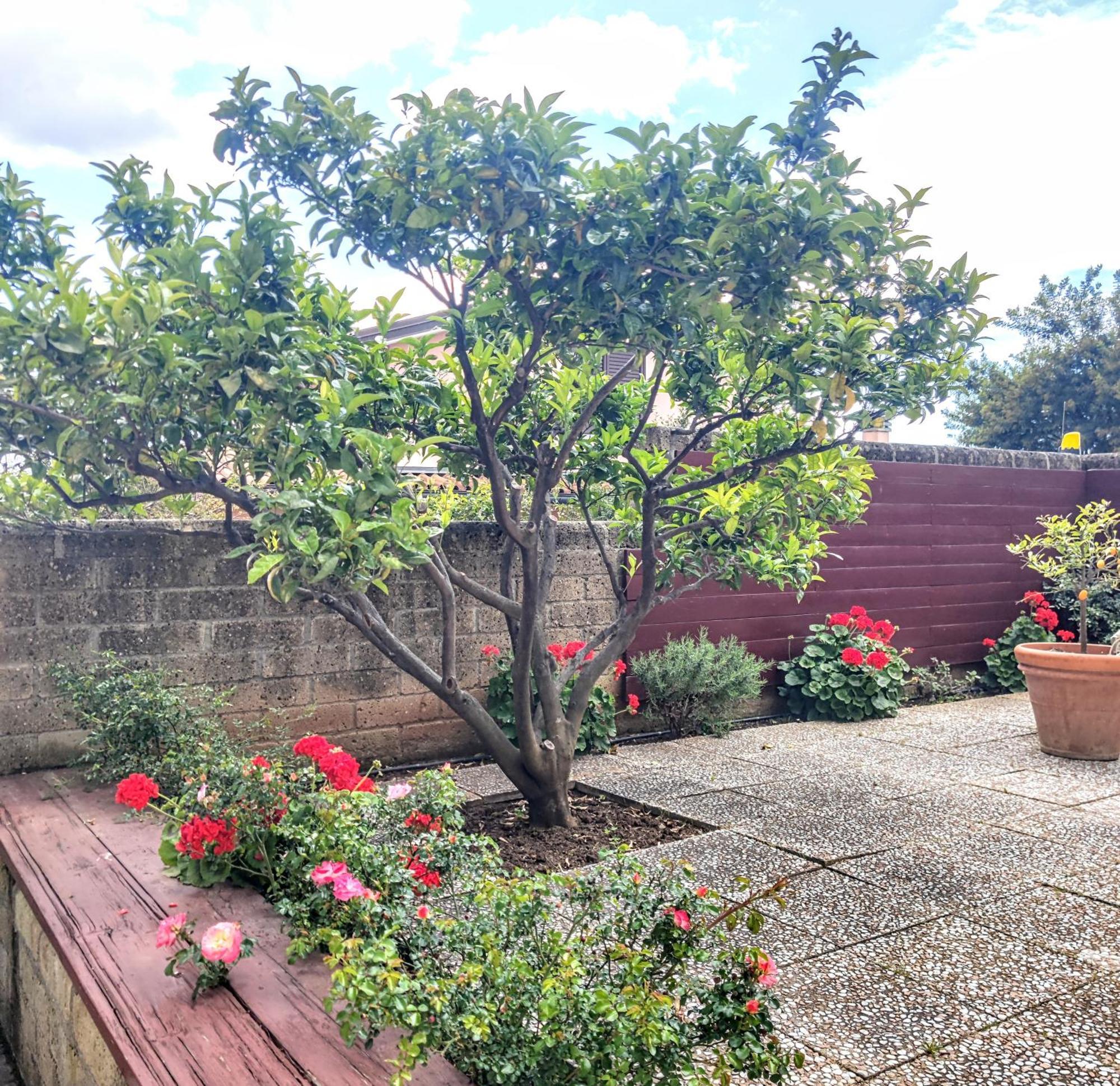 Appartamento Galgani San Vincenzo Exterior photo